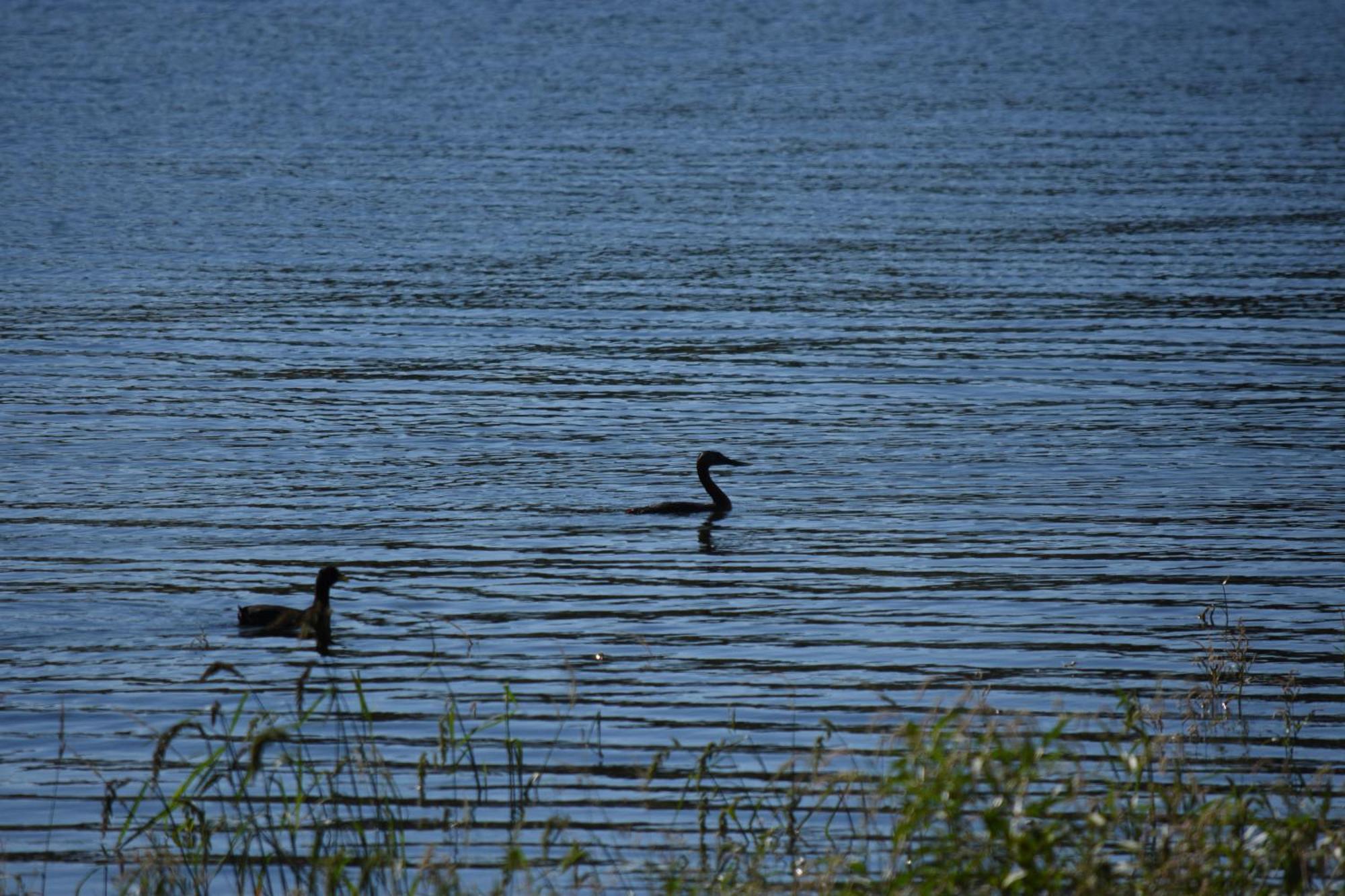 Peperina Lago Los Molinos Villa Ciudad de America Exteriör bild