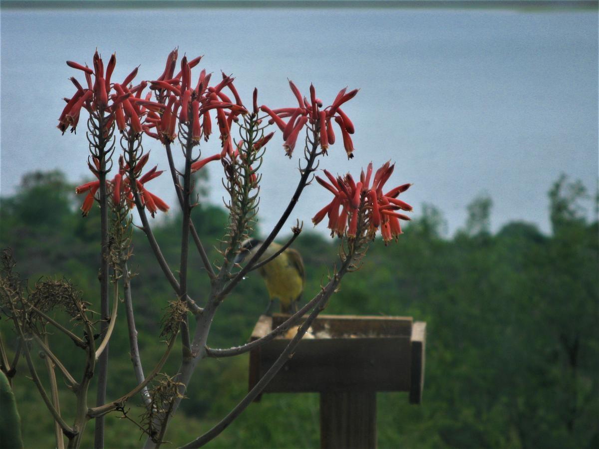 Peperina Lago Los Molinos Villa Ciudad de America Exteriör bild
